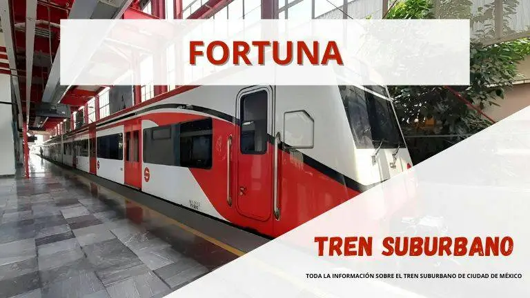 Estación_Fortuna_Tren_Suburbano