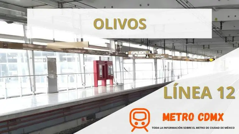 Metro_Olivos